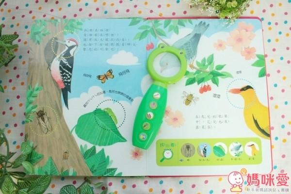 華碩文化 放大鏡自然觀察有聲書