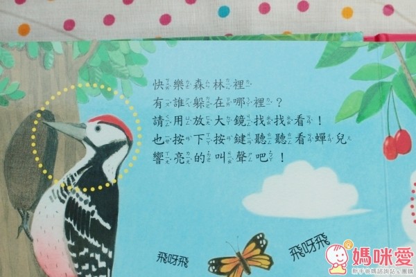 華碩文化 放大鏡自然觀察有聲書