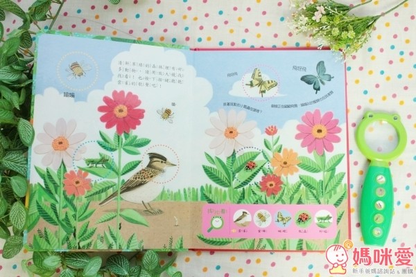 華碩文化 放大鏡自然觀察有聲書