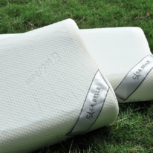 Great Living 格蕾 ❤ 保潔墊 / 枕頭