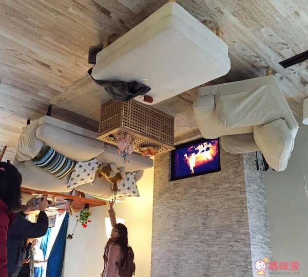 反轉世界 顛倒屋