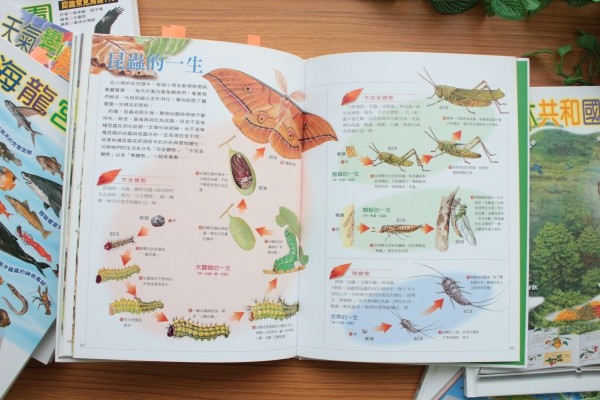 遠流科普繪本