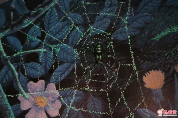 閣林文化 驚奇酷搜小百科✖魔法夜光書