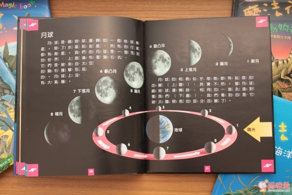 閣林文化 驚奇酷搜小百科✖魔法夜光書