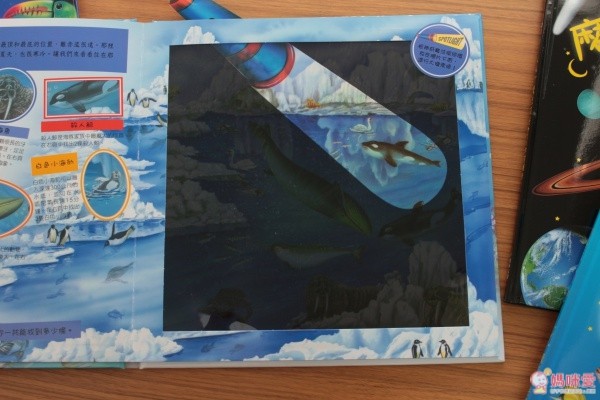 閣林文化 驚奇酷搜小百科✖魔法夜光書