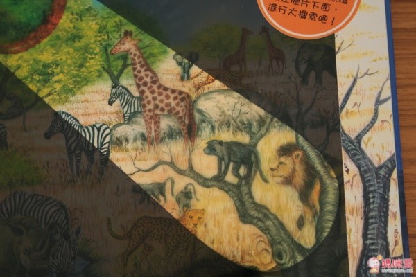 閣林文化 驚奇酷搜小百科✖魔法夜光書