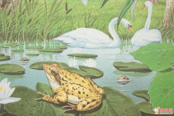 閣林文化 驚奇酷搜小百科✖魔法夜光書