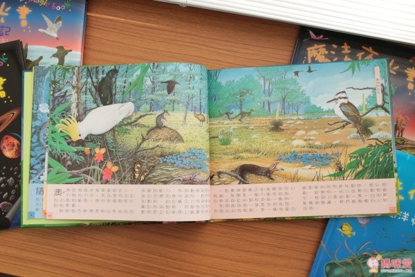 閣林文化 驚奇酷搜小百科✖魔法夜光書