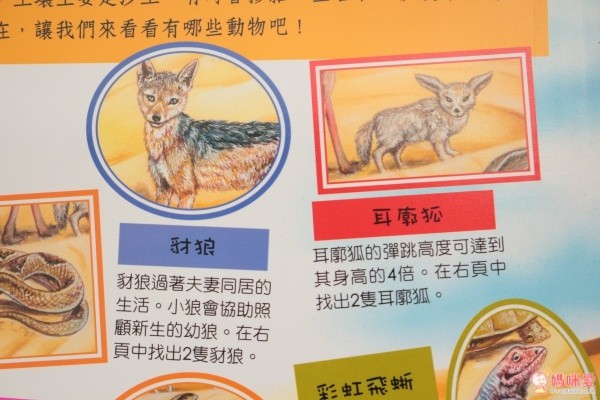 閣林文化 驚奇酷搜小百科✖魔法夜光書