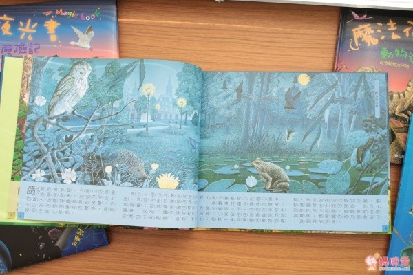 閣林文化 驚奇酷搜小百科✖魔法夜光書