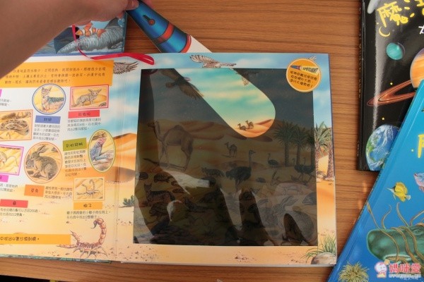 閣林文化 驚奇酷搜小百科✖魔法夜光書