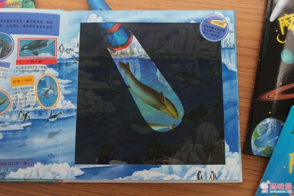 閣林文化 驚奇酷搜小百科✖魔法夜光書