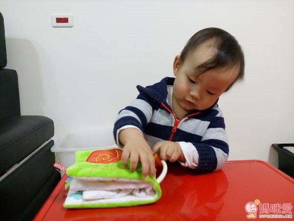 寶寶的觸覺認知布書:動物 123 +動物比大小+彩色動物園