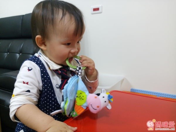 寶寶的動物鈴鐺布書:感覺認知(羊)+認識數字(牛)+認識顏色(豬)