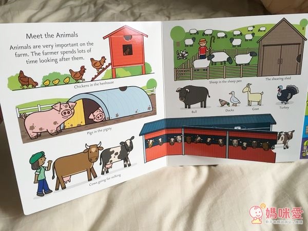 Playtown 系列翻翻書  