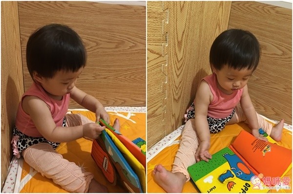 Benesse 日本製防蚊蟲襪套