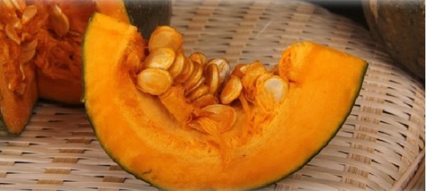 產銷履歷栗子南瓜