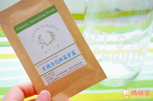 城市小農, 芽菜