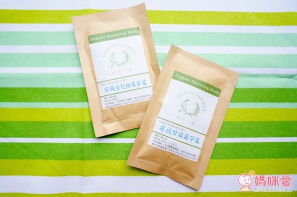 城市小農, 芽菜