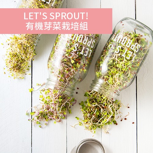 城市小農, 芽菜