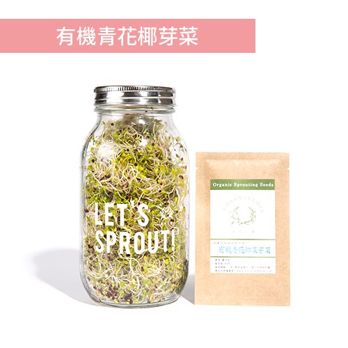 城市小農, 芽菜