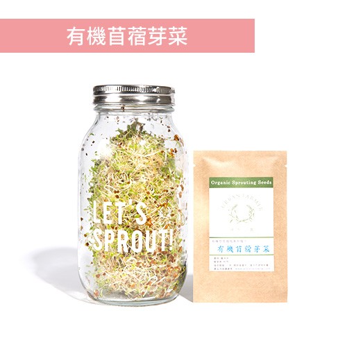 城市小農, 芽菜