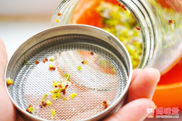 城市小農, 芽菜