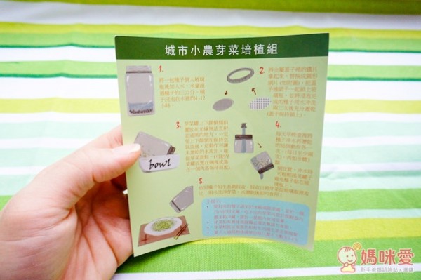 城市小農, 芽菜