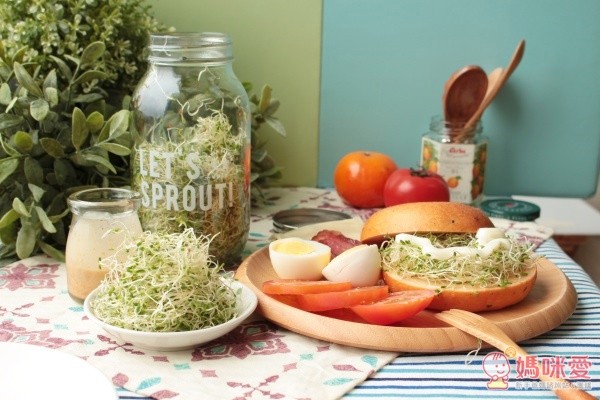 城市小農, 芽菜