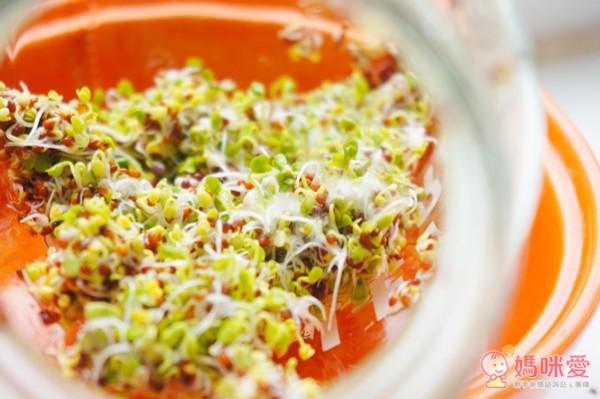 城市小農, 芽菜