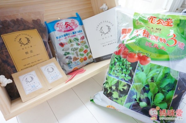 城市小農, 芽菜