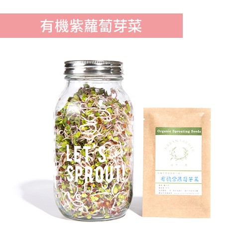 城市小農, 芽菜