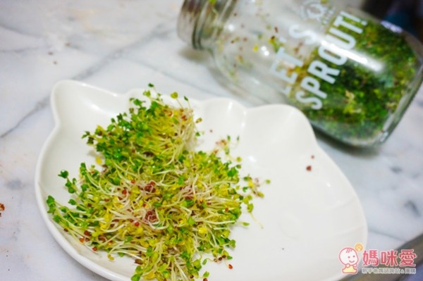 城市小農, 芽菜