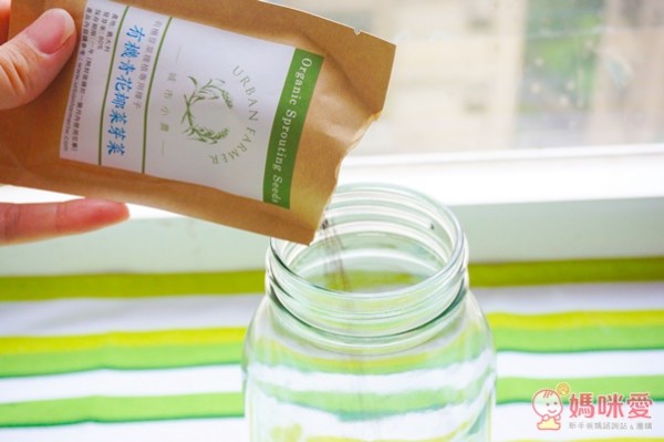 城市小農, 芽菜