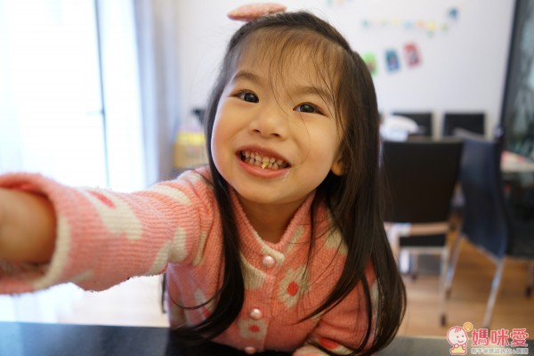 日本和平FREIZ櫻花鍋