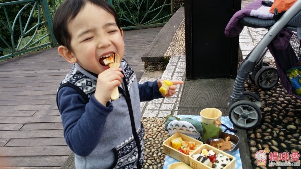 日本製 孟宗竹餐盤 便當禮盒