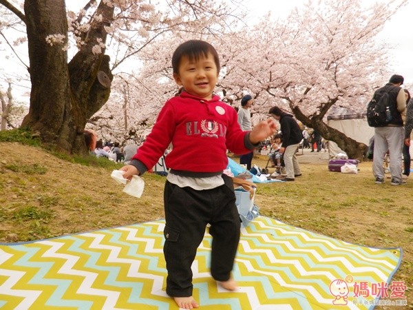 日本 BRUNO 野餐系列用品