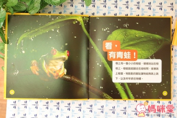 國家地理幼幼探險家套書