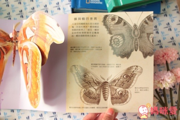 國家地理立體書 系列