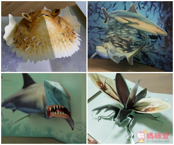 國家地理立體書 系列