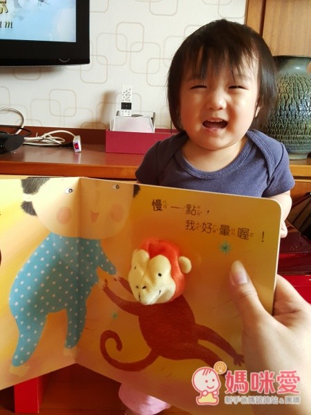 我的動物布偶套書