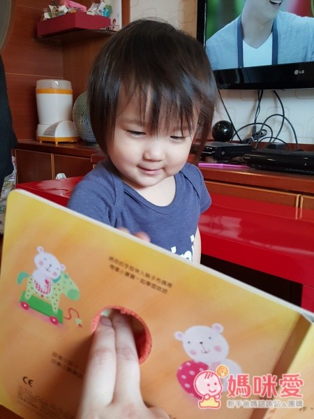 我的動物布偶套書