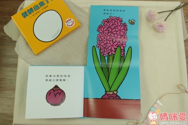 【格林文化】精選低幼繪本