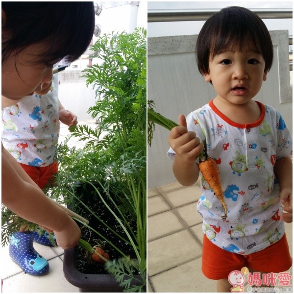 【格林文化】精選低幼繪本