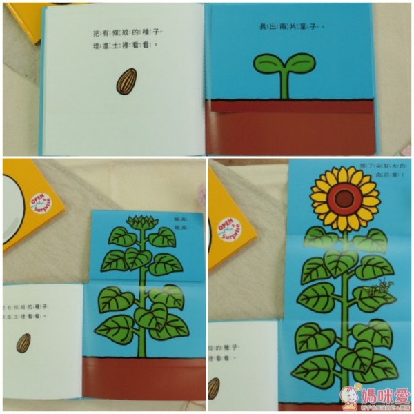 【格林文化】精選低幼繪本