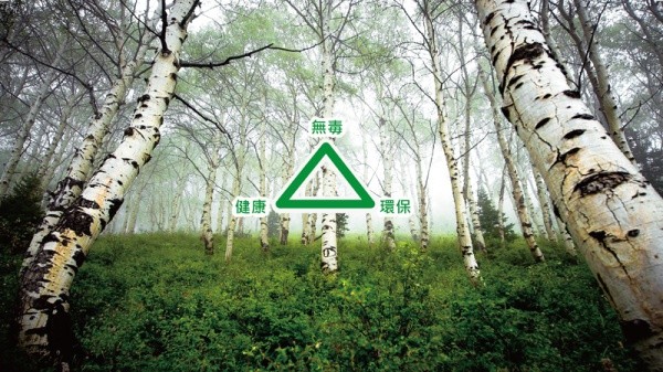 台灣 30 年老品牌 MIT大將作 Qmomo 兒童桌椅組/遊戲櫃 都是歐洲進口白樺木製作