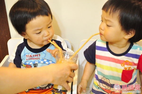 美國 Vitamix 全營養調理機 