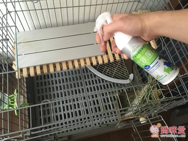 黃金盾 抗病毒、抗細菌噴劑