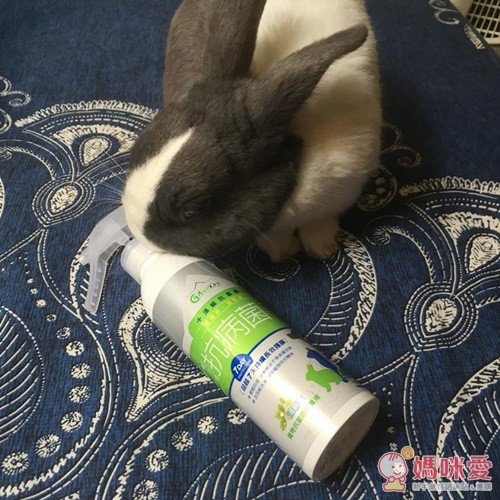 黃金盾 抗病毒、抗細菌噴劑