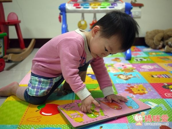 可愛動物拼圖書